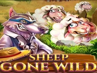 Sheep Gone Wild